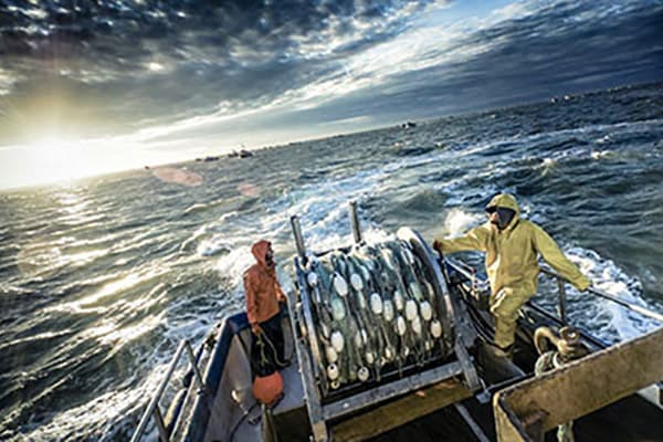 The Bristol Bay salmon run: Known to some fishermen as the 8th Wonder of the World