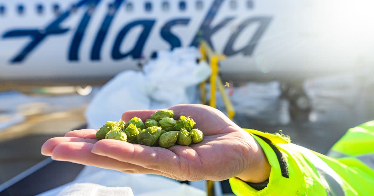 Alaska Air Cargo Connections