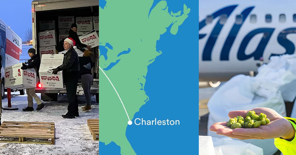 Alaska Air Cargo Connections